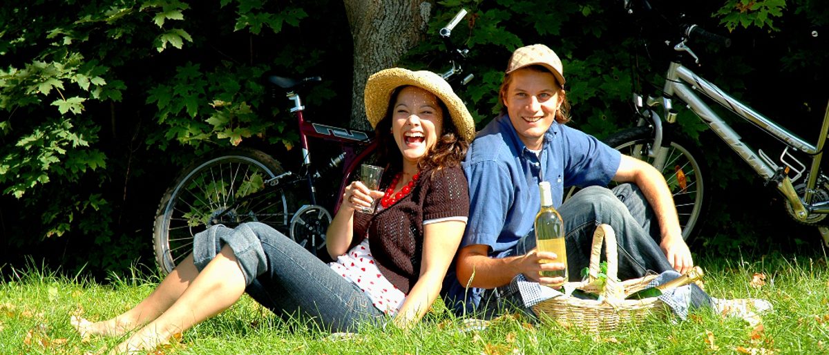 Lachendes Pärchen auf Wiese mit Picknickkorb und Fahrrädern