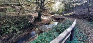 Weg am Bachlauf zur Brücke