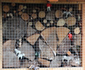 Kammer Insekten Hotel in Zemmer - Figuren